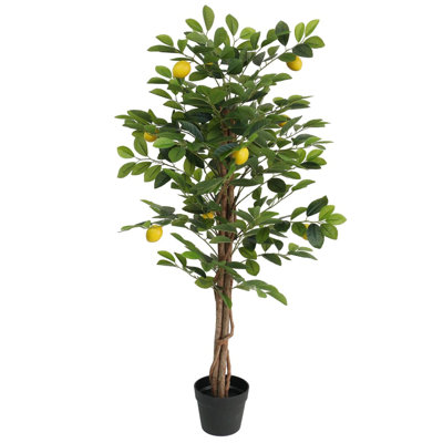  Polypropylène artificiel vert, bois d'eucalyptus, mousse