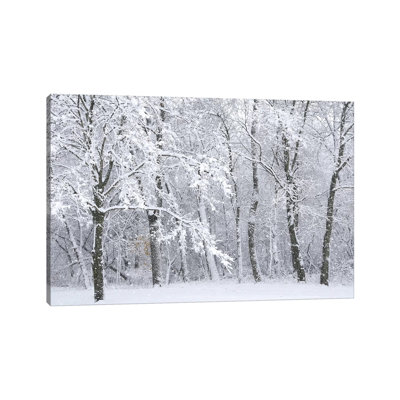 Snowstorm 1 Piece Wrapped Canvas Wall Art