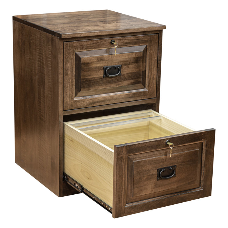 Doonans 21 " Wide 2 Solid Wood Vertical Filing Cabinet, Brown