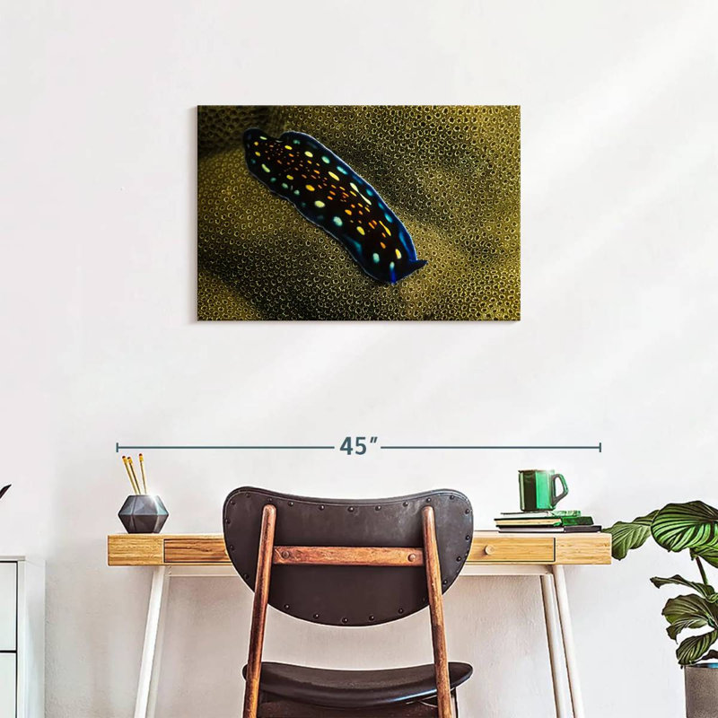 Crowle Linda's Flatworm, 20" H x 30" W
