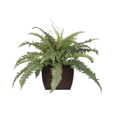 Faux Fern Plant in Metal Pot