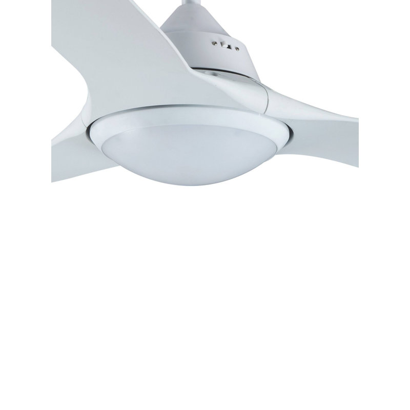 Adonay 142cm Ceiling Fan with LED Lights