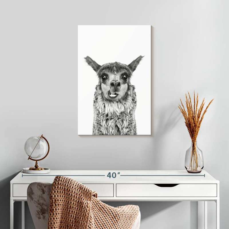 Brampt Happy Alpaca en noir et blanc, H 24 po x l 16 po