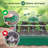Costyle Plant Trays/ Stands Fruits / Vegetables