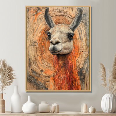Gillison Llama Portrait At The Mountain