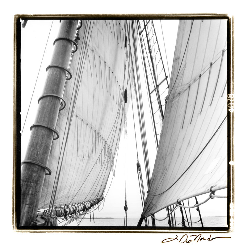 Under Sail II - Art Prints on Canvas, 30cm H x 30cm W x 3.8cm D