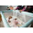 Cosco Kids SleepAway Bassinet