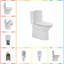 One-Piece Dual-Flush Modern Toilet with Comfort Chair Seat