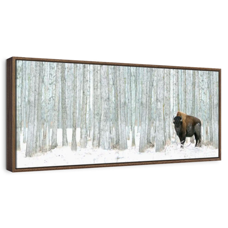 Alberta Winter, 43 po x 15 po, Floating Frame Walnut