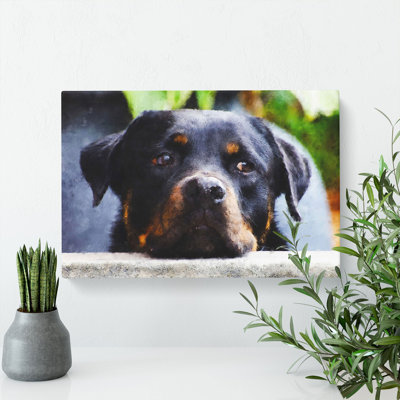 Rottweiler Dog - Wrapped Canvas