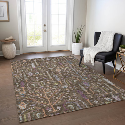 Machine Washable Indoor/Outdoor Cicel ACN1152 Brown Rug