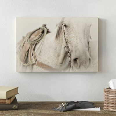 «Cow Pony», photographie sur toile
