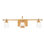 Rindham 3-Light Dimmable LED Vanity Light