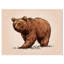 Couleur, gravier isolé, grizzly - impression-29490057-34273191