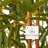 Pure Garden Artificial Bamboo Tree - 6FT Fake Plant with Adjustable Leaves and Pot - Faux Plants Indoor for Home, Restaurant, or Office Décor