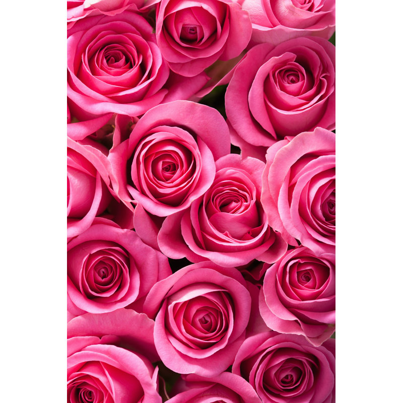 Logemann Beautiful Pink Roses by OlgaMiltsova - Wrapped Canvas Print, 91cm H x 61cm W x 3.8cm D