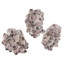 Barnacle 3 Piece Wall Décor Set-50432495