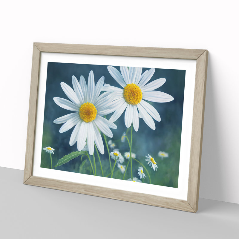 Pretty Daisy Flowers - Framed Print, 34cm H x 46cm W x 2cm D, Oak Framed
