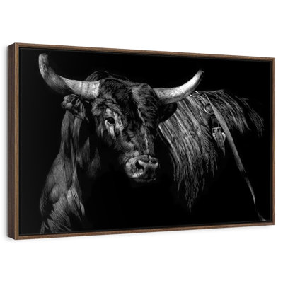 Brindle Rodeo Bull