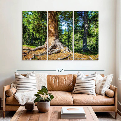 Harnek Sunny Forest