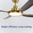 Kamps 56" Indoor/Outdoor Ceiling Fan with LED Light Kit, 6CCT Dimmable LED, Ceiling Fan with Light and Remote - Champagne Bronze with Dark Walnut-1844696651-1844696648