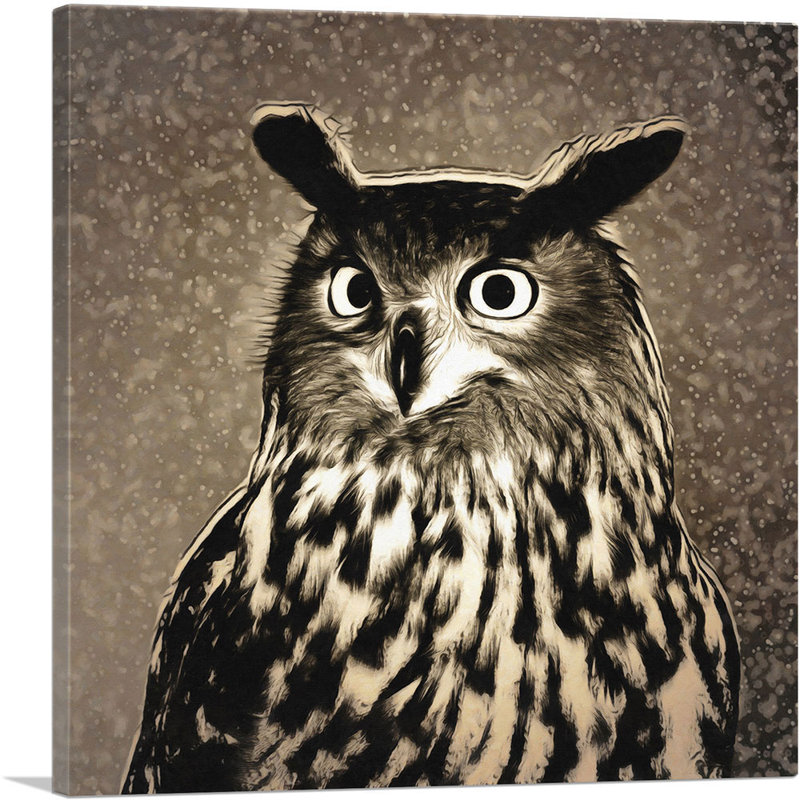 Owl Home Decor - Reproduction d'art sur toile tendue, H 18 po x l 18 po x P 0,75 po