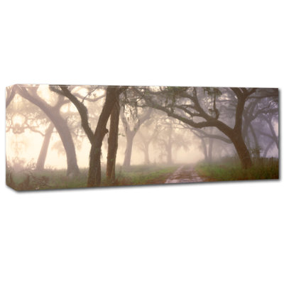 Albans 'Dawns Early Light' Photographic Print on Wrapped Canvas