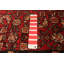 Andelz Red Rug 3'2" x 9'10"