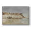 «Vintage Nautical Print-CLVI» sur-281904468-281904469