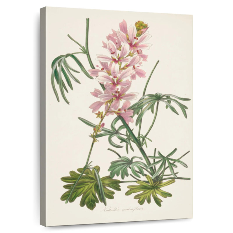 Harnek antique botanique I crème, H 24 po x l 16 po