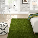 Tapis d'intérieur / extérieur rectangulaire vert uni en polypropylène touffeté à la machine Obadiah