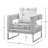 Upholstered Accent Arm Chair-459270023-459270019