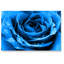 Print on Glass-1288398732-1288398734
