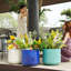 Pot de fleurs-693009472