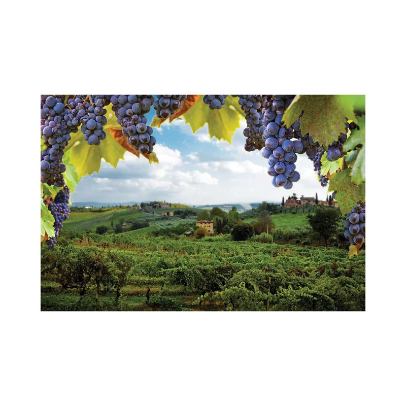 Vineyards In San Gimignano Italy by Susan Schmitz - Print on Canvas, 20.32cm H x 30.48cm W x 1.91cm D, Wrapped Canvas