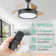 Chesterine 36'' Ceiling Fan with LED Lights