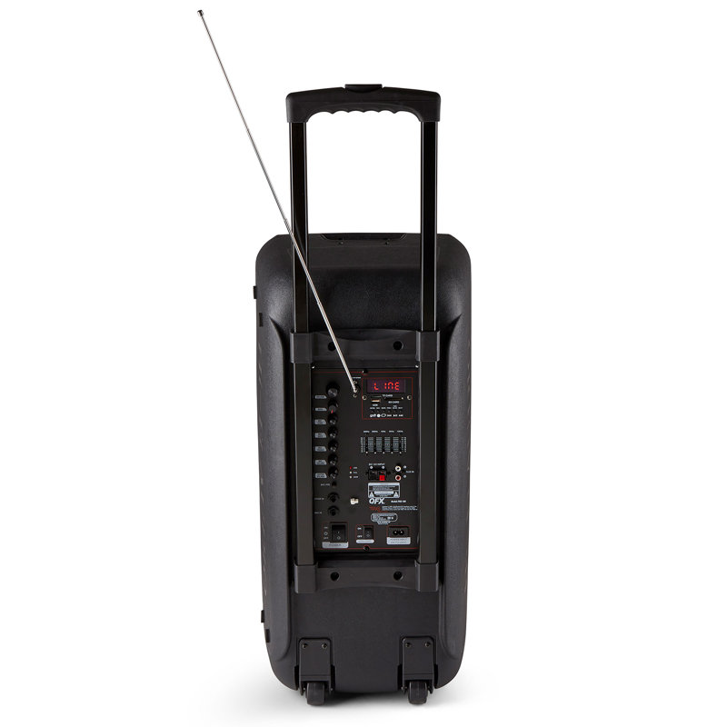 Decorative Radio with Bluetooth