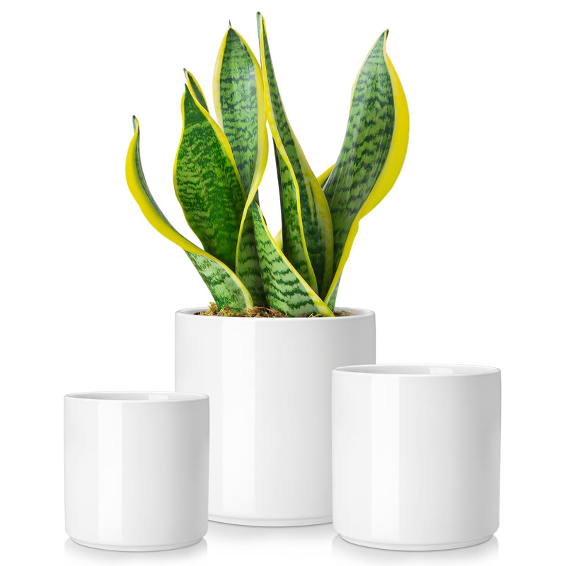 ZTHPOT Ceramic Pot Planter, White