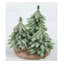 Décoration de Noël trio de sapins glacés Downswept - 8 po - non éclairé