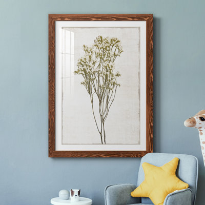 Farmhouse Pressed Flower II - peinture encadrée