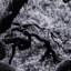 Tree Gaze IV Print by Coup D'Esprit-1421126884