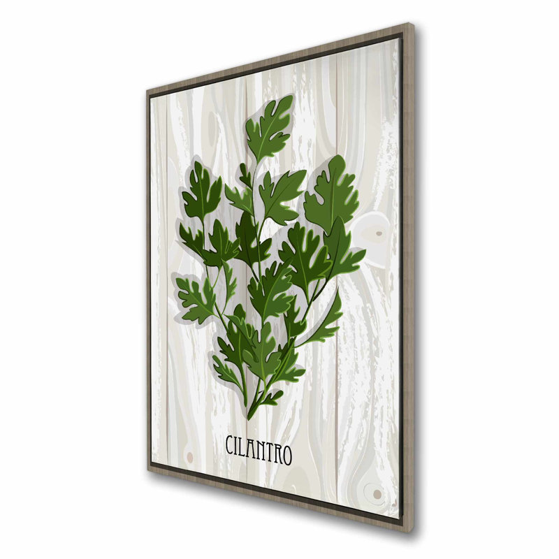 Coriandre sur bois, toile botanique - cuisine, art mural