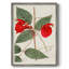 Impression encadrée FloraOf TheTropics II - bois massif-1030480698