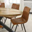 Lamantia Mango Oval Wood Top Dining Table with Iron Base