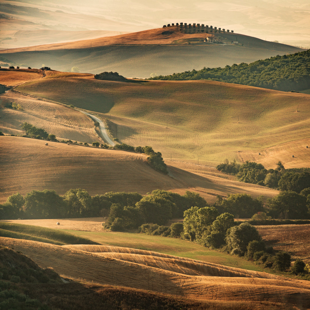 Leinwandbild Sunny Afternoon In Tuscany von Gehringj