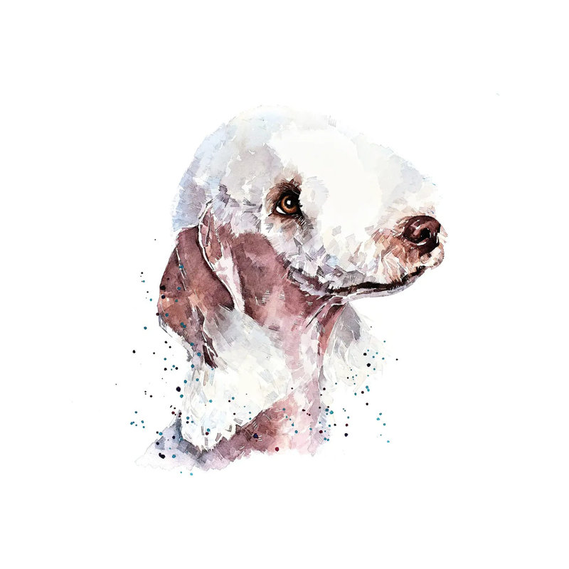 Bedlington Terrier II by EdsWatercolours - Floater Frame Gallery-Wrapped Canvas Giclée on Canvas, Wrapped Canvas