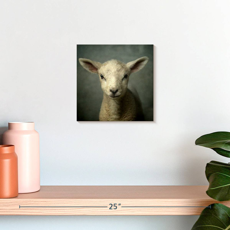 Crowle Newborn Lamb, H 10 po x l 10 po