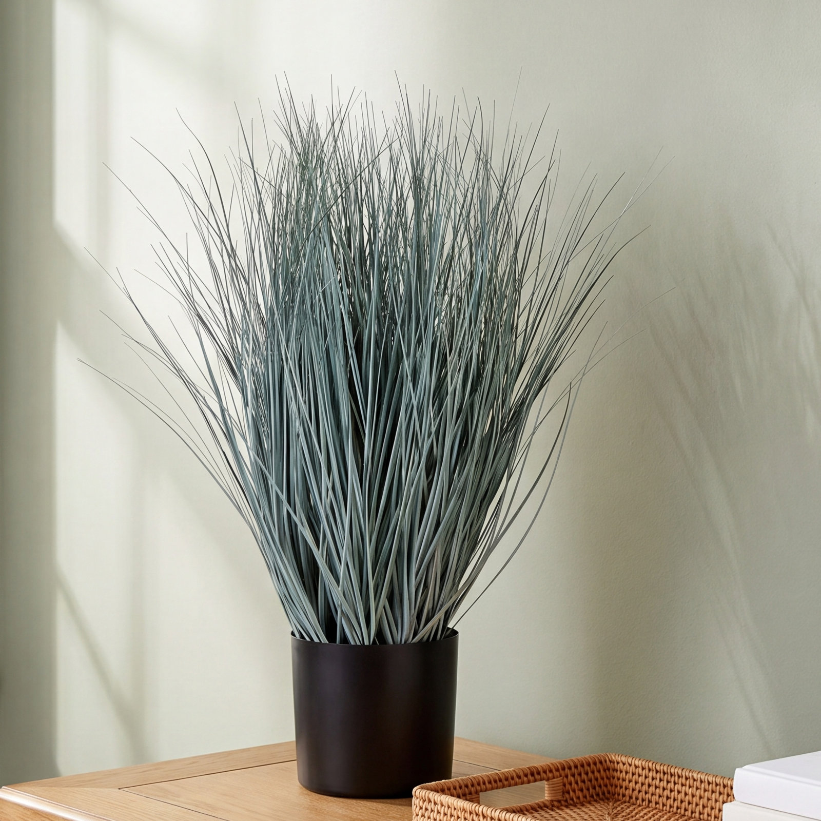 32" Oat Grass in Pot