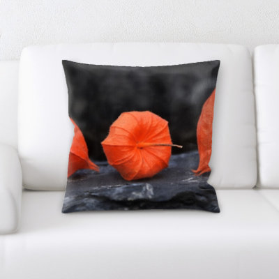 Archibald Square Pillow Cover & Insert