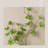 White,  Nutbrown Rectangular Sandstone Solid Wood  Wall art-117618060
